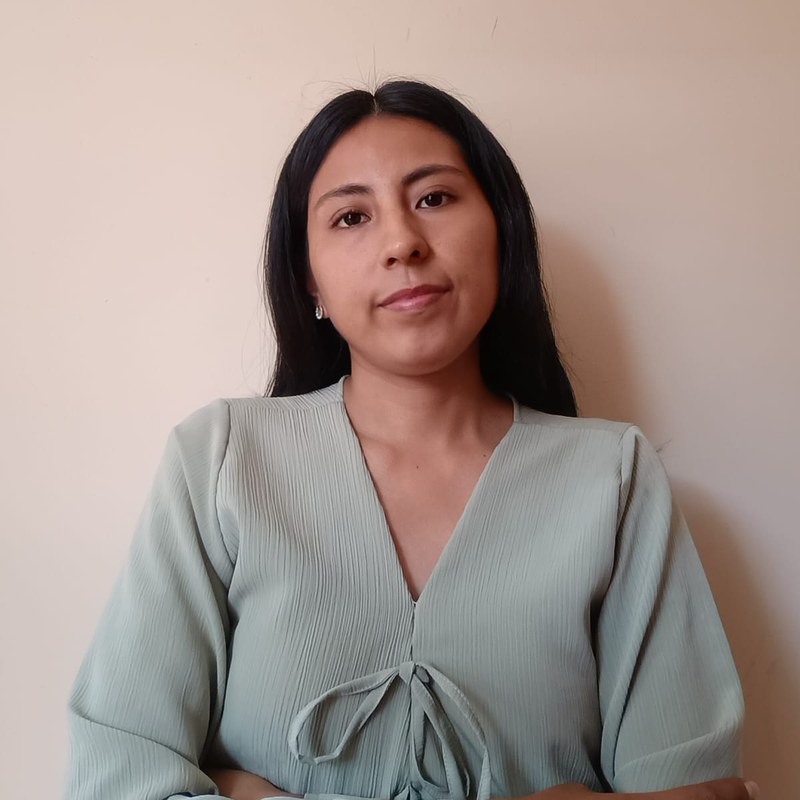 Ps. Karen Mateo Alzamora